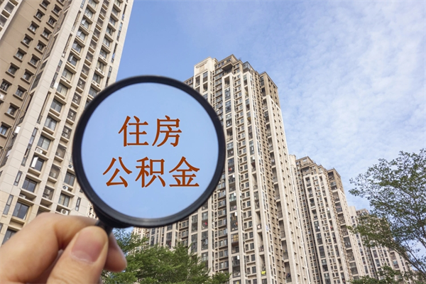 珠海辞职后公积金可以全部代取来吗（珠海公积金转出怎么办理）